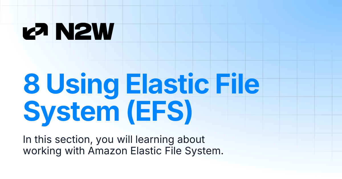8 Using Elastic File System (EFS) | N2W User Guide