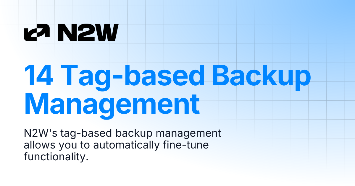 14 Tag-based Backup Management | N2W User Guide